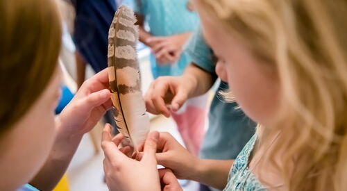 Foto von Kindern, die eine Feder in den Händen halten